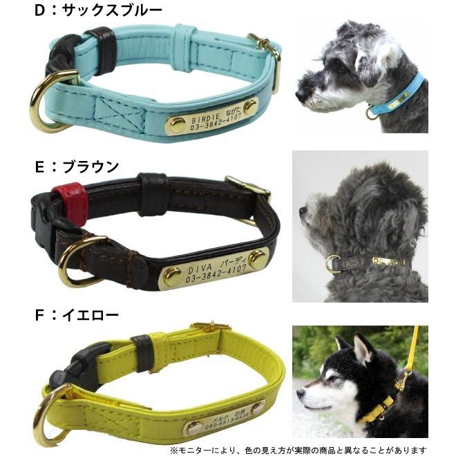 BIRDIE（バーディー） 迷子札 犬 首輪 名前入り 革 バックル式