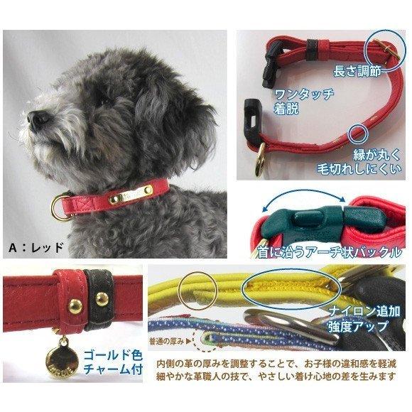 BIRDIE（バーディー） 迷子札 犬 首輪 名前入り 革 バックル式
