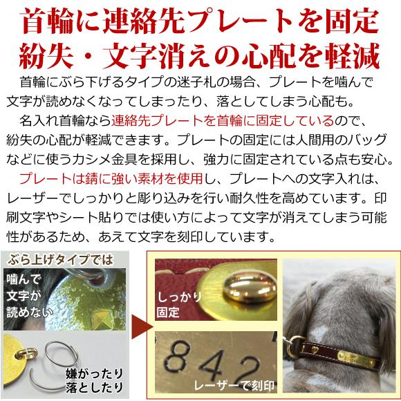 BIRDIE（バーディー） 迷子札 犬 首輪 名前入り カジュアル 洗える