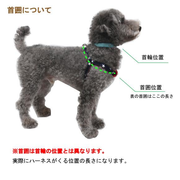 BIRDIE（バーディー） 迷子札 犬 首輪 名前入り カジュアル 洗える