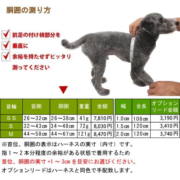 BIRDIE（バーディー） 迷子札 犬 首輪 名前入り カジュアル 洗える