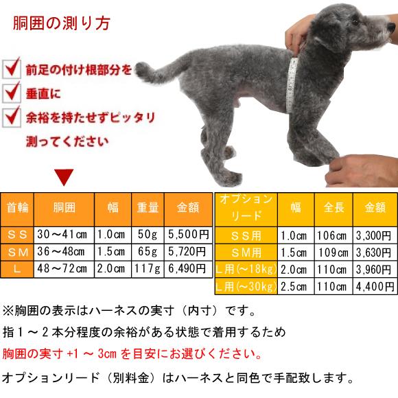 BIRDIE（バーディー） 迷子札 犬 首輪 名前入り かわいい 洗える