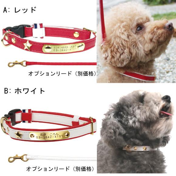 BIRDIE（バーディー） 迷子札 犬 首輪 名前入り 革 バックル式 スター