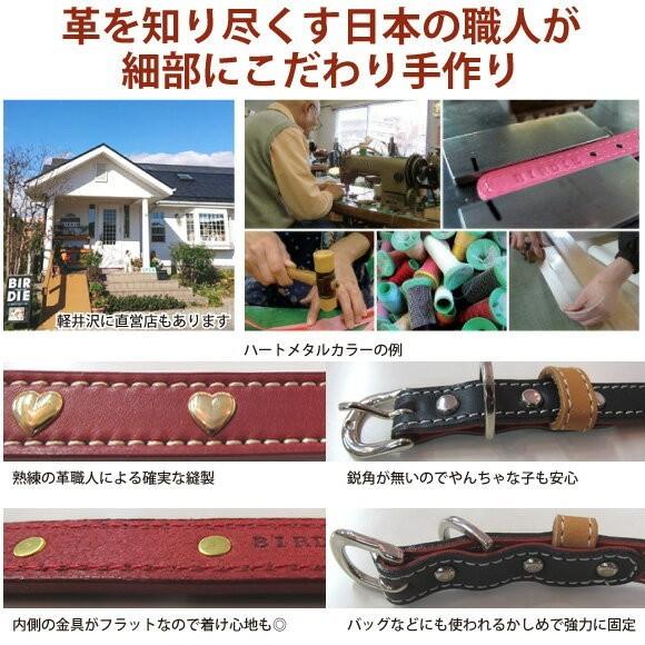 BIRDIE（バーディー） 迷子札 犬 首輪 名前入り 革 バックル式 スター