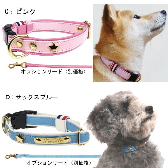 BIRDIE（バーディー） 迷子札 犬 首輪 名前入り 革 バックル式 スター