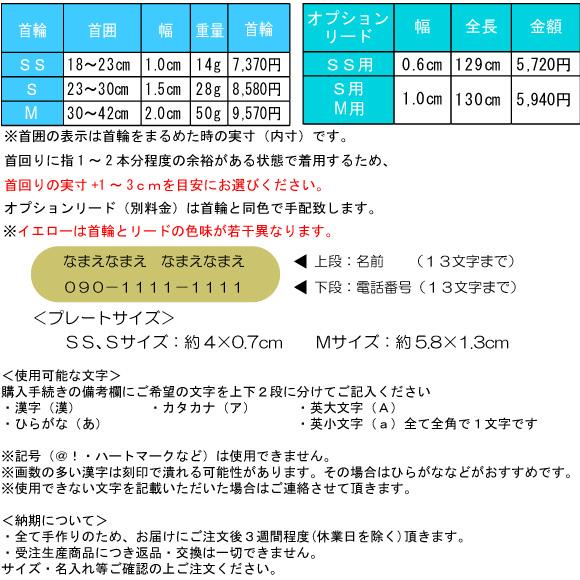 BIRDIE（バーディー） 迷子札 犬 首輪 名前入り 革 バックル式 スター