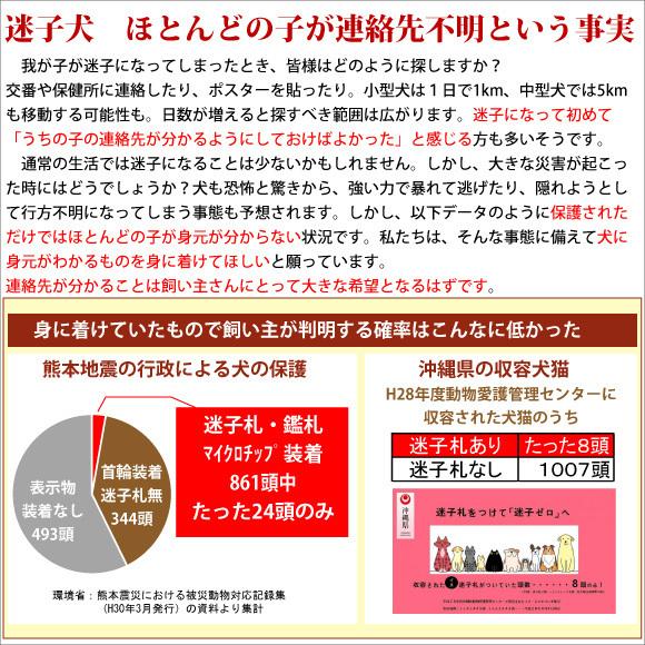 BIRDIE（バーディー） 迷子札 犬 首輪 名前入り 革 バックル式 スター