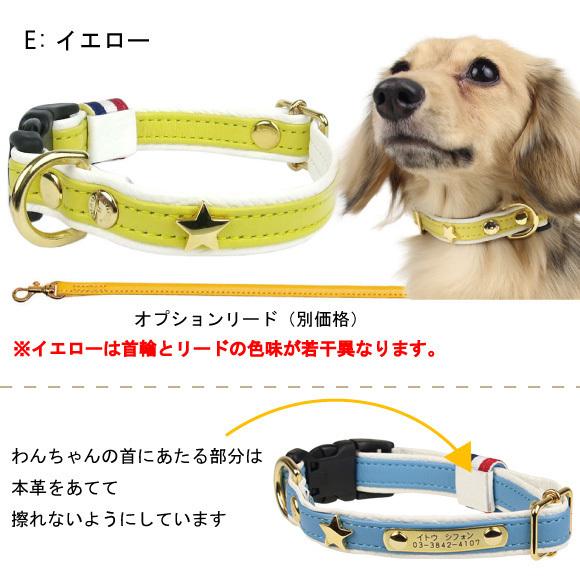 BIRDIE（バーディー） 迷子札 犬 首輪 名前入り 革 バックル式 スター