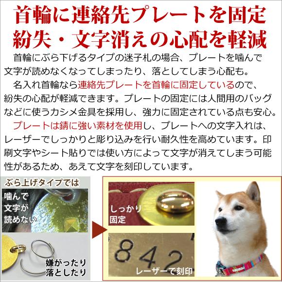 BIRDIE（バーディー） 迷子札 犬 首輪 名前入り 革 バックル式 スター