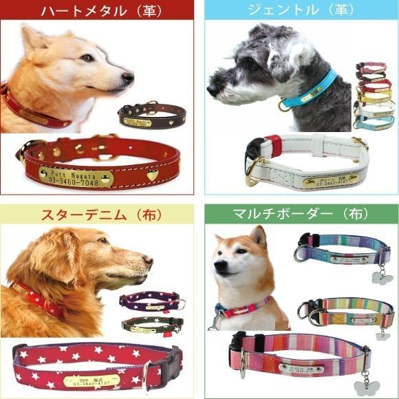 BIRDIE（バーディー） 迷子札 犬 首輪 名前入り 革 バックル式 スター