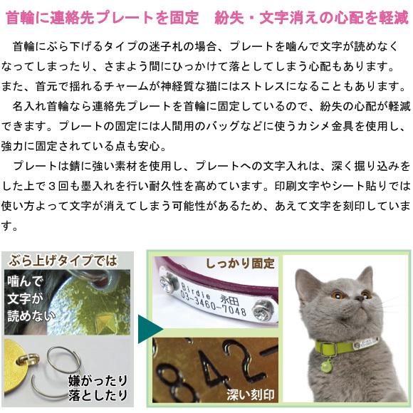 猫 首輪 迷子札 名入れ 名前入 猫用 Birdie Cat S蓄光ラインｉｄカラー サイズ 首囲19 26cm 名前 連絡先 電話番号 国産 おしゃれ かわいい ねこ ネコ L3501 ナチュラルペットフードshop 通販 Yahoo ショッピング