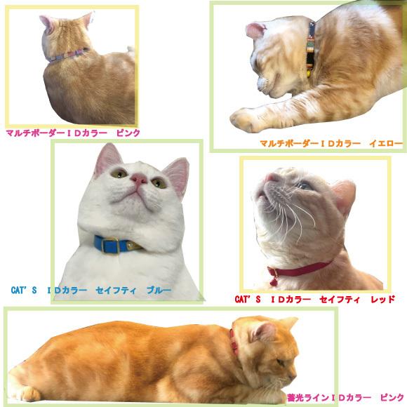 猫 首輪 迷子札 名入れ 名前入 猫用 BIRDIE CAT'SＩＤカラー 【サイズ 首囲18-27cm】 名前 連絡先 電話番号 プレート 国産 おしゃれ かわいい 迷子 ねこ ネコ｜petnext｜12