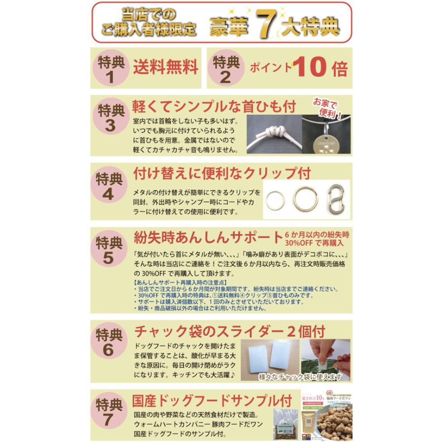 7大特典付 カタンドッグ メタル ノミ ダニ を考えた 身に付けるだけ