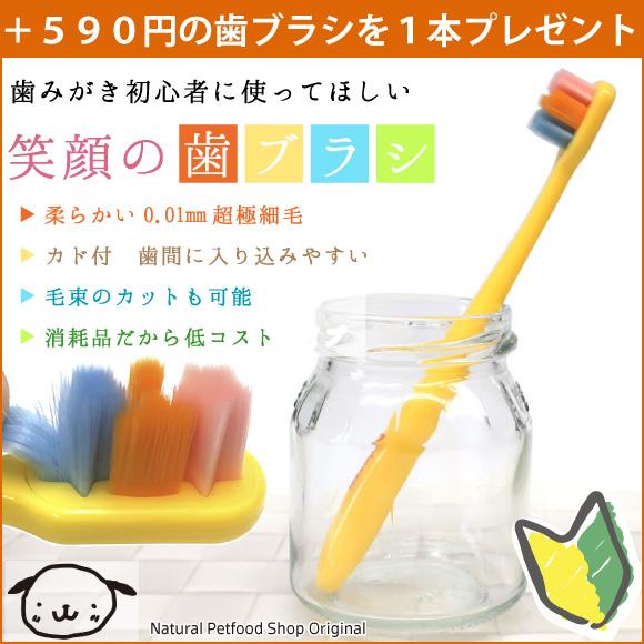 nanowell（ナノウエル） オーラルケア forDOG 犬用 20mL +