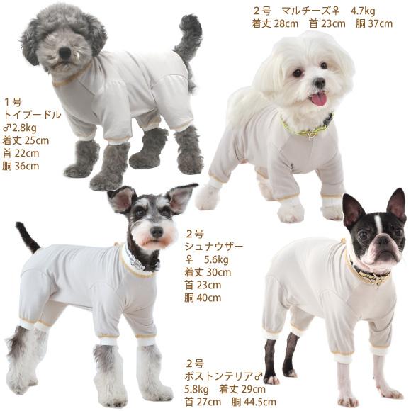 犬服　魁花　ご確認 楽天市場】クマさんぬいぐるみ付きコットンガーゼベスト 犬服