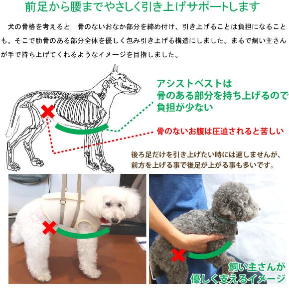 犬 介護用ハーネス 介護 歩行補助 ハーネス メッシュ アシスト ベスト XS　超小型犬 用  高齢犬 シニア 老犬 足腰 筋力 低下 サポート 立ち上がり トイレ可｜petnext｜03