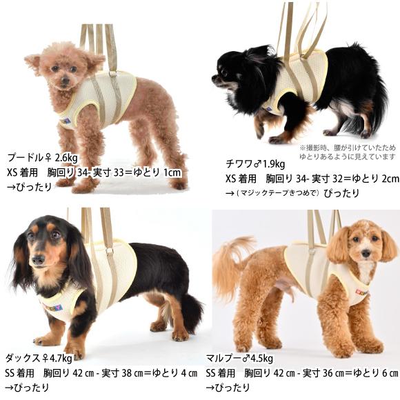 WHCY 犬 介護 ハーネス 犬介護用品 犬介護ハーネス メッシュ アシスト