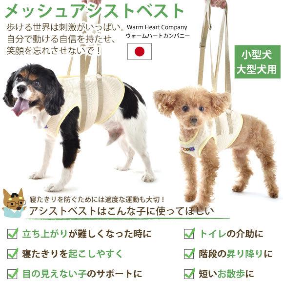 犬用　介護用　歩行補助ハーネス　メッシュアシストベルト　Mサイズ WHCY 犬 介護用ハーネス 介護 歩行補助 ハーネス メッシュ