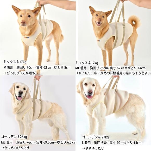犬 介護用ハーネス  介護 歩行補助 ハーネス メッシュ アシスト ベスト M 中型犬 用  高齢犬 シニア 老犬 足腰 筋力 低下 サポート 立ち上がり トイレ可 グル活_12