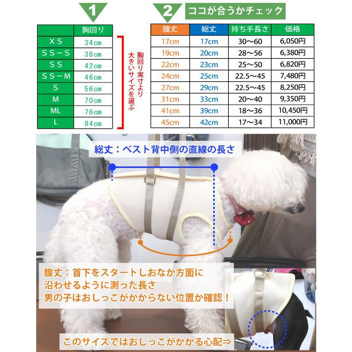犬 介護用ハーネス  介護 歩行補助 ハーネス メッシュ アシスト ベスト M 中型犬 用  高齢犬 シニア 老犬 足腰 筋力 低下 サポート 立ち上がり トイレ可 グル活_7