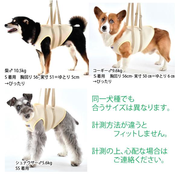 いぬ様確認専用 楽天市場】ペット ゲート とおせんぼ S/M/L 屋内用 突っ張り