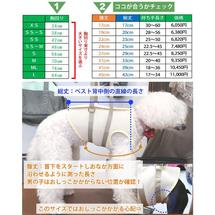 犬 介護用ハーネス 介護 歩行補助 ハーネス メッシュ アシスト ベスト ML 大型犬 用  高齢犬 シニア 老犬 足腰 筋力 低下 サポート 立ち上がり トイレ可｜petnext｜07