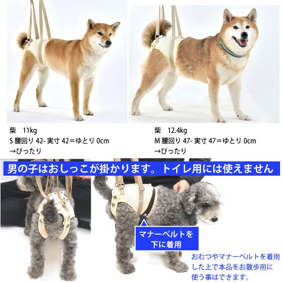 犬 介護用ハーネス 介護 歩行補助 ハーネス メッシュ アシスト ベスト 後ろ足 用 XS　超小型犬 用  高齢犬 シニア 老犬 足腰 筋力 低下 サポート 立ち上がり｜petnext｜11