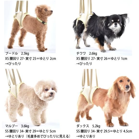 WHCY 犬 介護用ハーネス 介護 歩行補助 ハーネス メッシュ アシスト