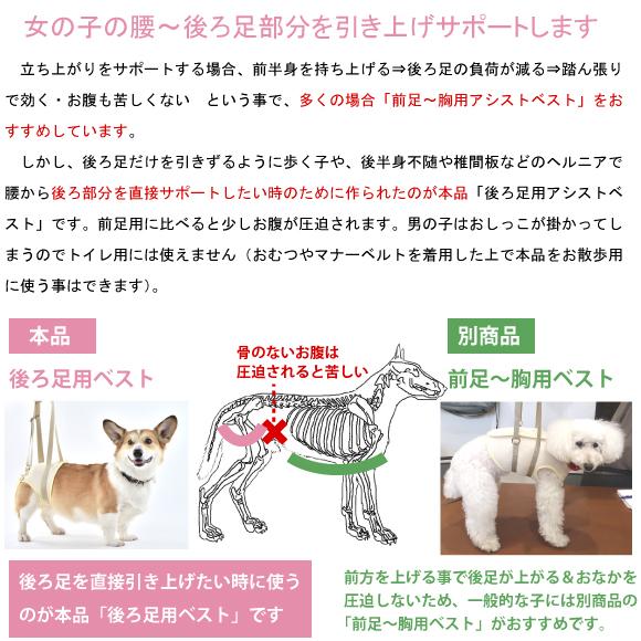 WHCY 犬 介護 ハーネス 犬介護用品 犬介護ハーネス 後ろ足 メッシュ
