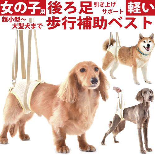 WHCY 犬 介護用ハーネス 介護 歩行補助 ハーネス メッシュ アシスト