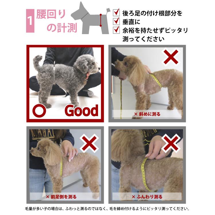 犬 介護用ハーネス 介護 歩行補助 ハーネス メッシュ アシスト ベスト 後ろ足 用 S 中型犬 用  高齢犬 シニア 老犬 足腰 筋力 低下 サポート 立ち上がり｜petnext｜07