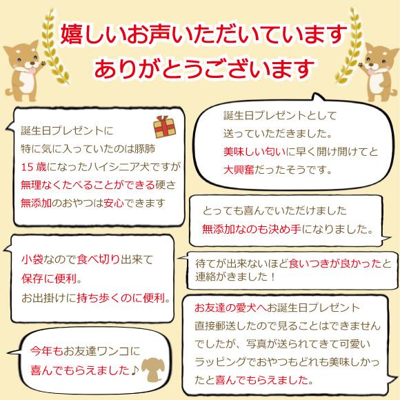 犬 おやつ ギフト 8種セット 誕生日 プレゼント 詰め合わせ おしゃれ