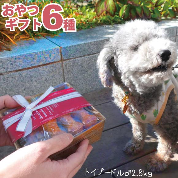 犬用 国産 無添加 おやつ ギフト 6種セット 犬 詰め合わせ プレゼント