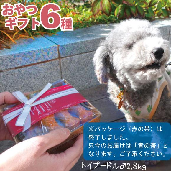 犬用 国産 無添加 おやつ ギフト 6種セット 犬 詰め合わせ プレゼント