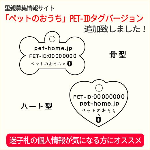 ペット用品 犬用品 ロイヤルカナン ドッグフード 療法食 腎臓サポート 1ｋg｜petonavi｜03