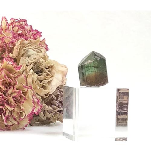 353 バイカラー トルマリン コンゴ産 結晶 原石 353 バイカラー トルマリン コンゴ産 結晶 原石 - メルカリ