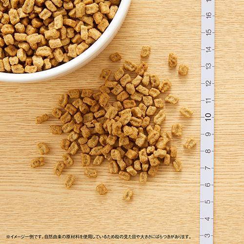 ✳F.✳ ニュートロ ナチュラルチョイス 小型犬用 成犬用 3kg×2 ニュートロ ナチュラルチョイス 避妊・去勢犬用 超小型犬〜小型