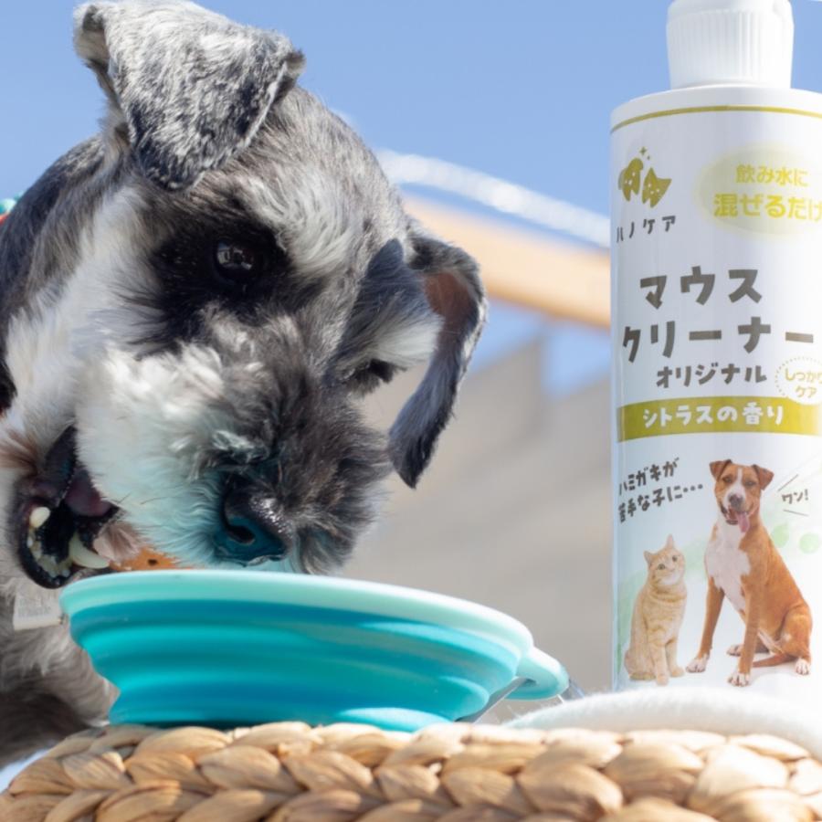 ケーピーエス KPS ハノケア マウスクリーナー オリジナル 473ml 犬用