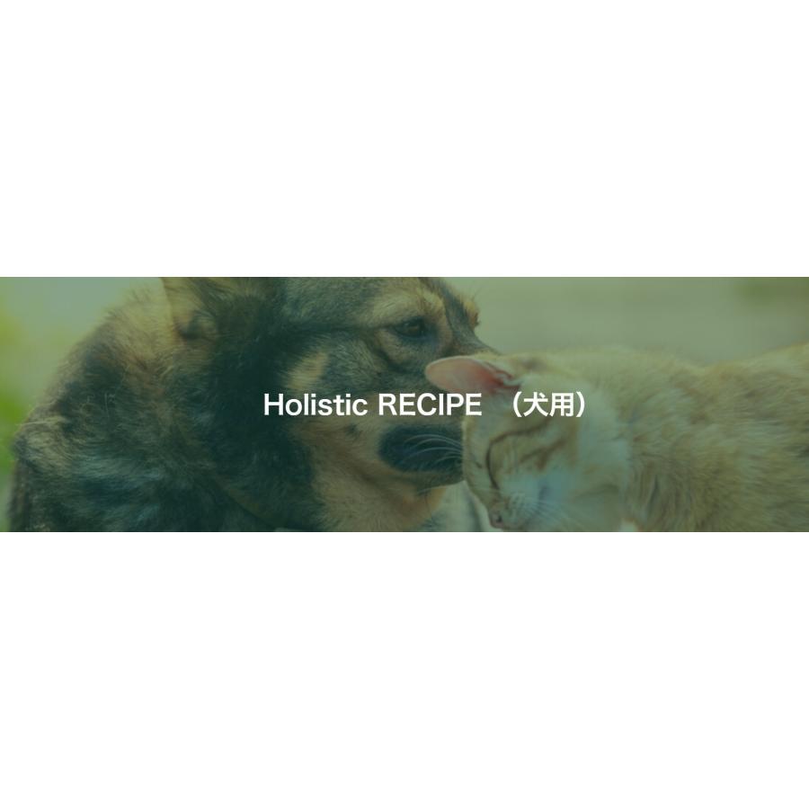 ホリスティックレセピー ライス＆チキン シニア 6.4kg 4516950110813 高齢犬用｜petoukoku-standard｜03