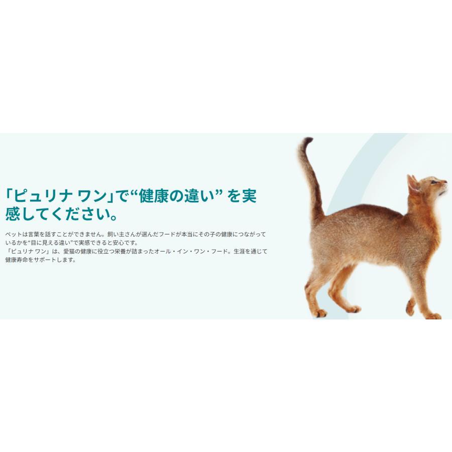 ピュリナワン キャット 美味を求める成猫用 1歳以上 サーモン＆ツナ 3.4kg 9300605143609｜petoukoku-standard｜02