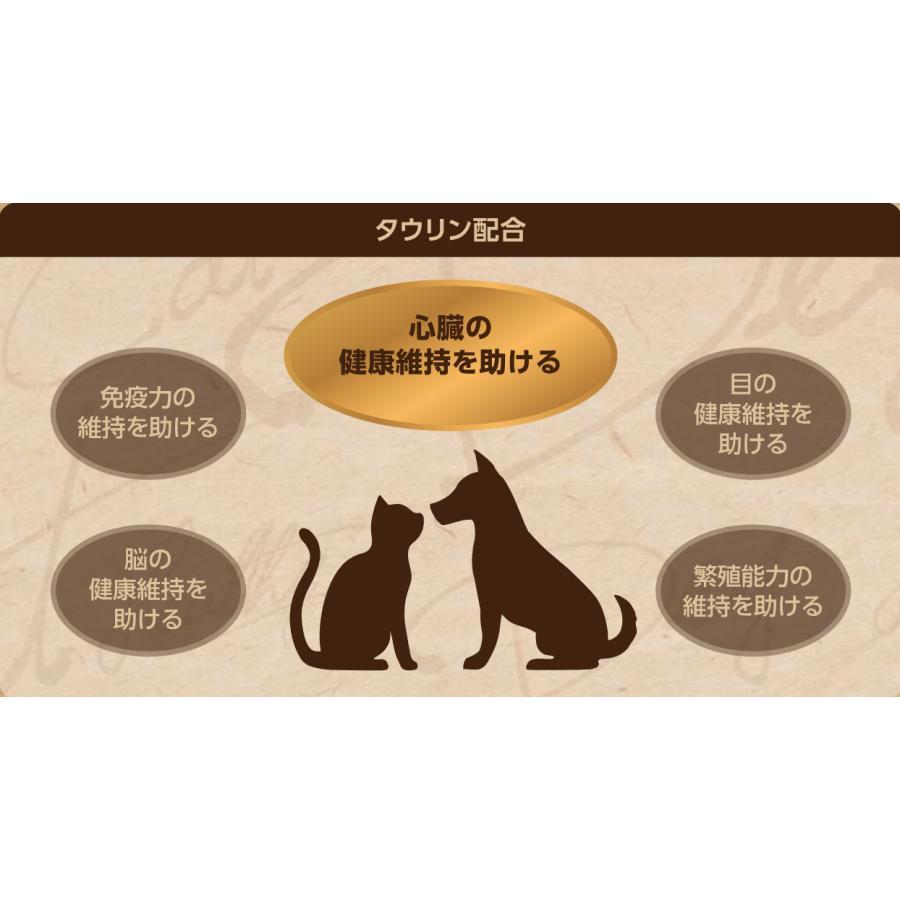 セレクトバランス キャットフード グレインフリー 猫 スリム チキン 1.6kg ×2個セット｜petoukoku-standard｜06