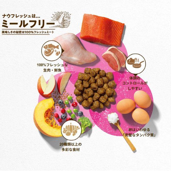 ナウフレッシュ グレインフリー アダルト キャット 3.63kg