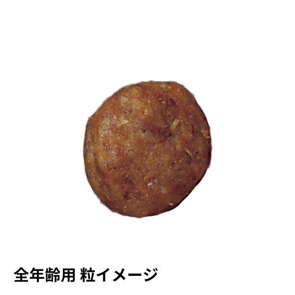 ソルビダ（SOLVIDA） グレインフリー ターキー 室内飼育全年齢対応 1.8