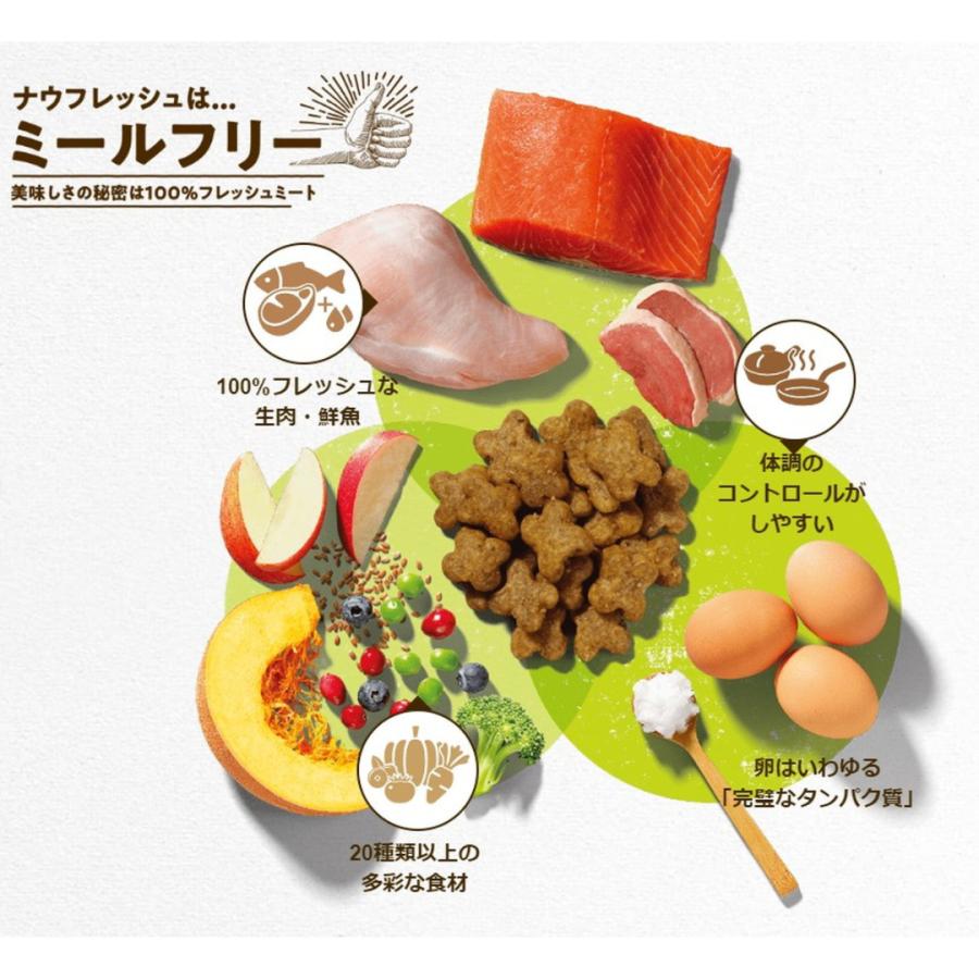 NOW FRESH ナウフレッシュ グレインフリー スモールブリード アダルト