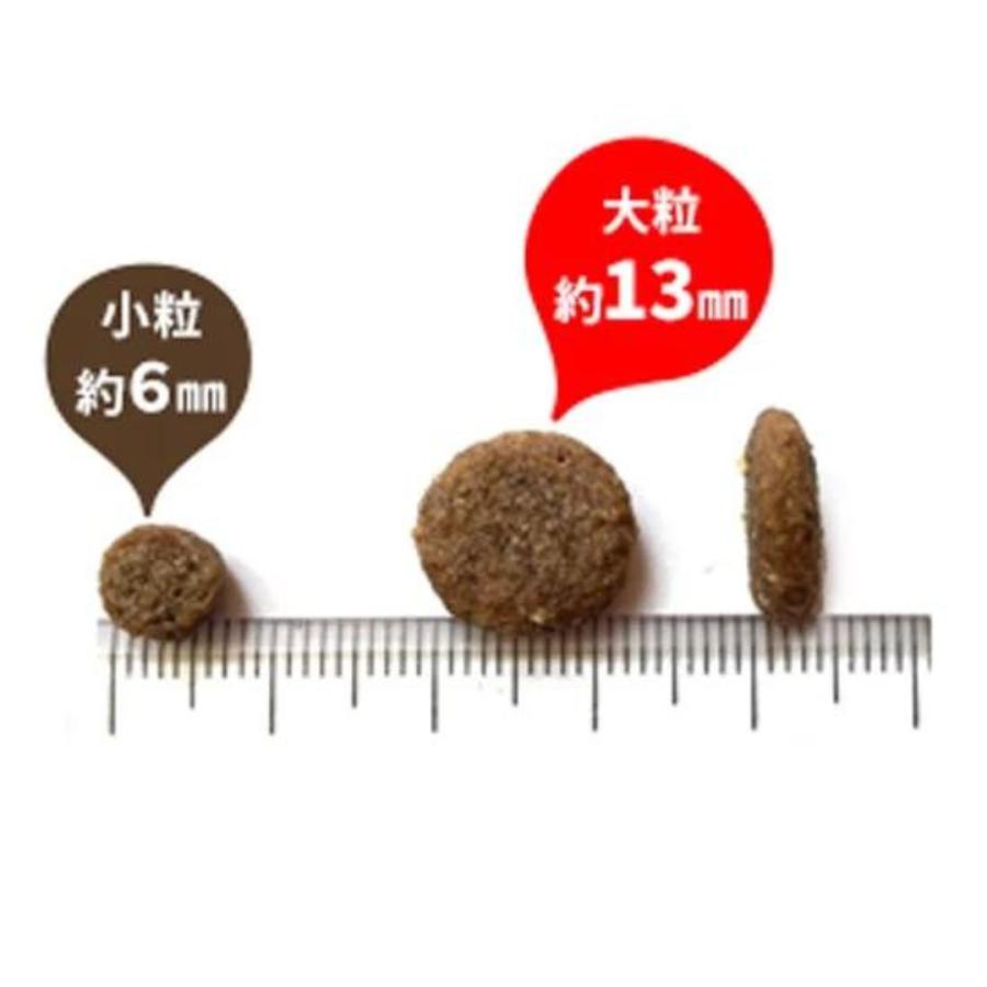 Perfection（パーフェクション） サーモン 小粒 6kg 全犬種 全年齢