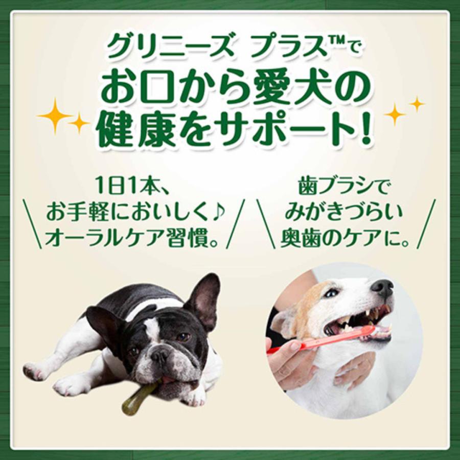 ボーナスストア10％ グリニーズ プラス 成犬用 超小型犬用 ミニ 1.3〜4kg 60本入り ×2セット 4562358786501｜petoukoku｜03