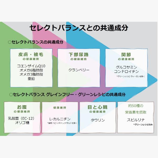 SELECT BALANCE セレクトバランス ケアレシピ ホワイトフィッシュ 小粒