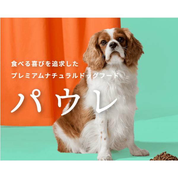 パウレ フィッシュ 全年齢用 5.8kg グルテンフリー ドッグフード