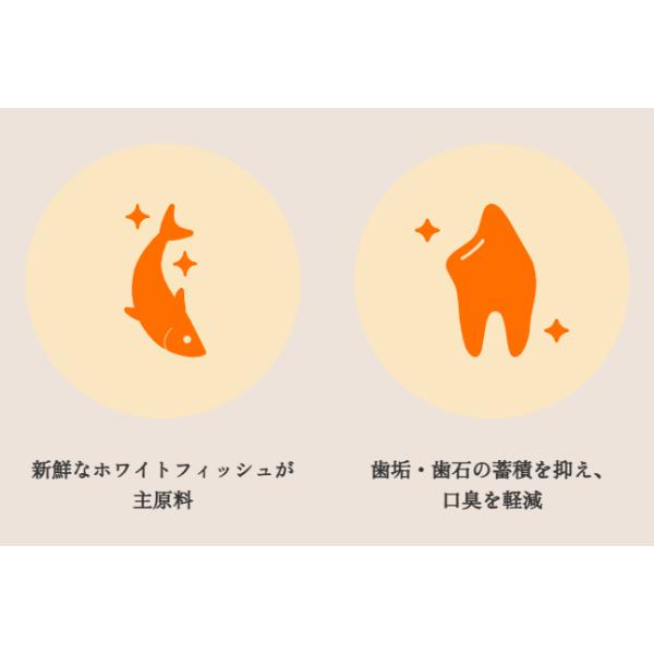パウレ フィッシュ 全年齢用 5.8kg グルテンフリー ドッグフード