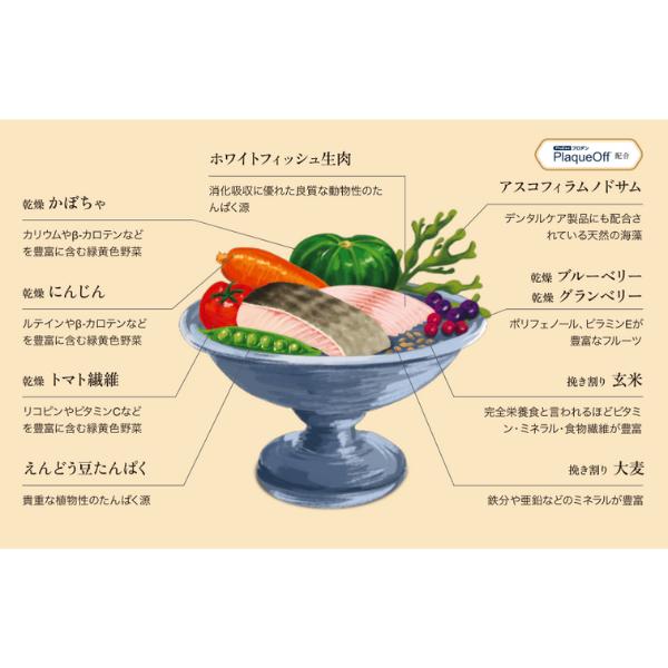 選べるおまけ付き】 パウレ フィッシュ 全年齢用 5.8kg グルテンフリー